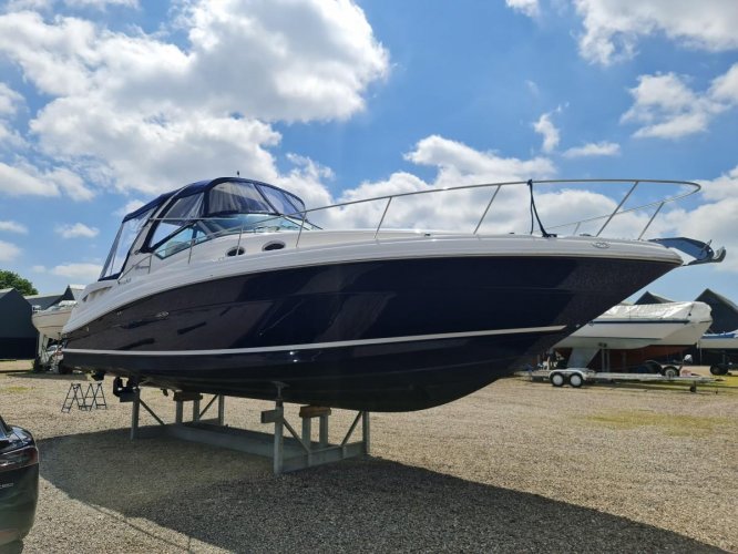 Sea Ray 375 Sundancer Twin Diesel foto: 18