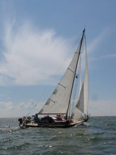 One Off Classic Sailing Yacht 1948 Valk Leeuwarden hoofdfoto: 1