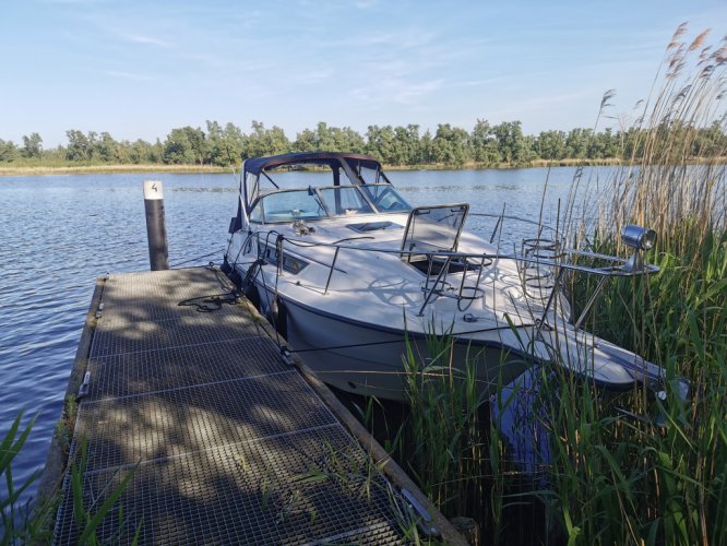 Chaparral  29 signature 