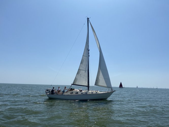 Classic Sailing Yacht/Bacchant IV (Zweden) S-spant foto: 5