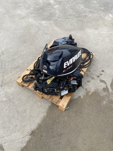 Evinrude 25hp langstraat  foto: 6