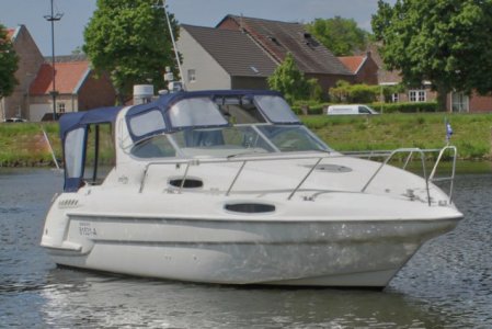 Sealine310 Ambassador