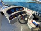 Sea Ray 240 Sundeck foto: 15