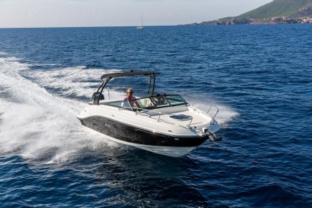 Sea RaySun Sport 230 OB