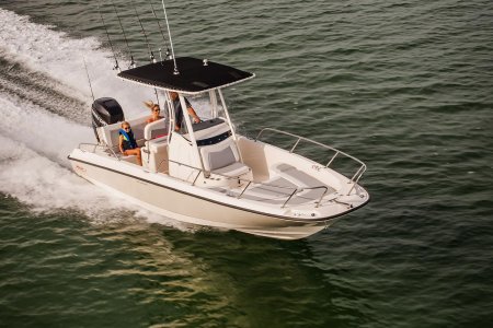 Boston Whaler250 Dauntless