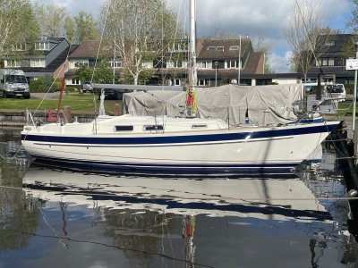 Hallberg Rassy29