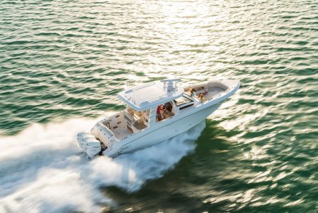 Boston Whaler350 Realm