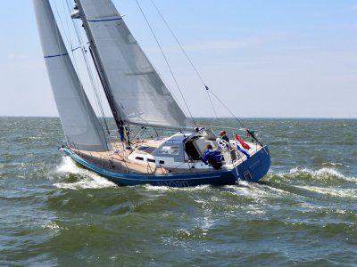 Breehorn 41 (nieuw)