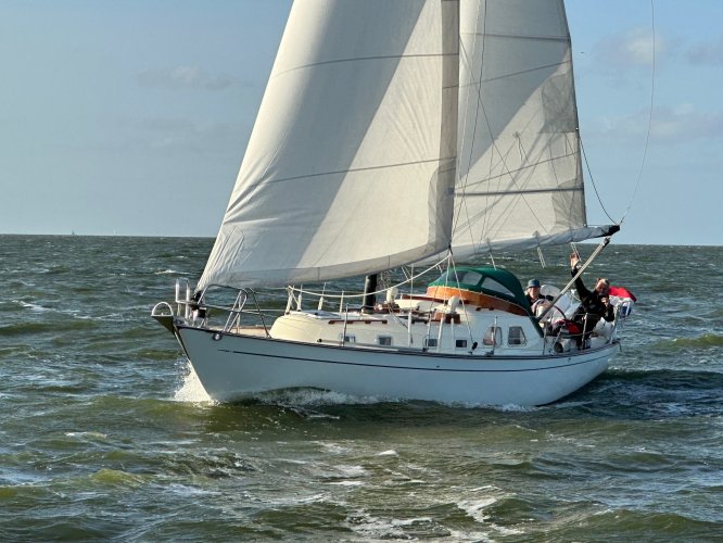 Classic Sailing Yacht/Bacchant IV (Zweden) S-spant hoofdfoto: 1