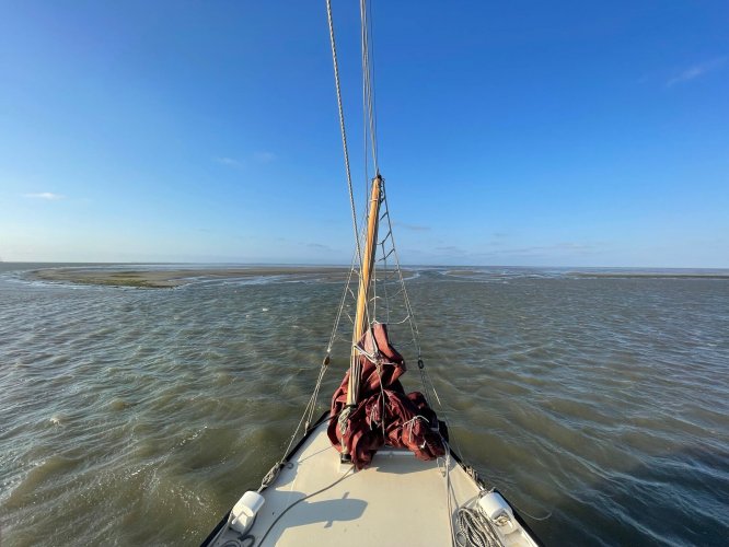 Westerdijk Zeeschouw 9.00 foto: 6