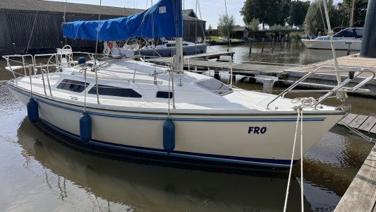 Catalina270