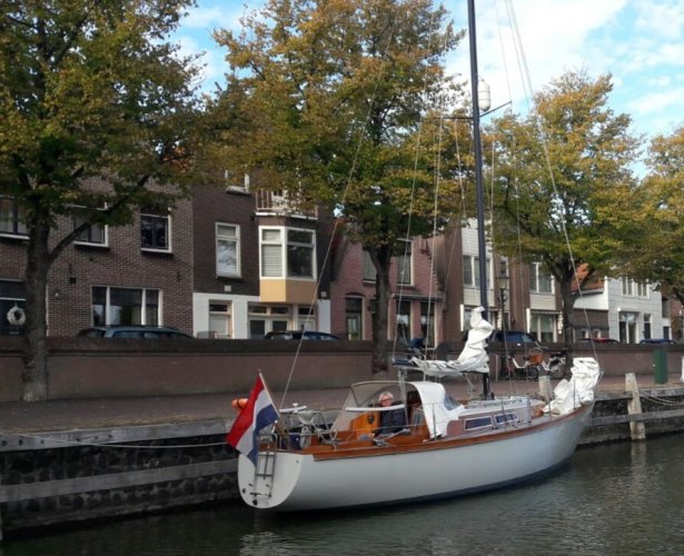 Koopmans 31