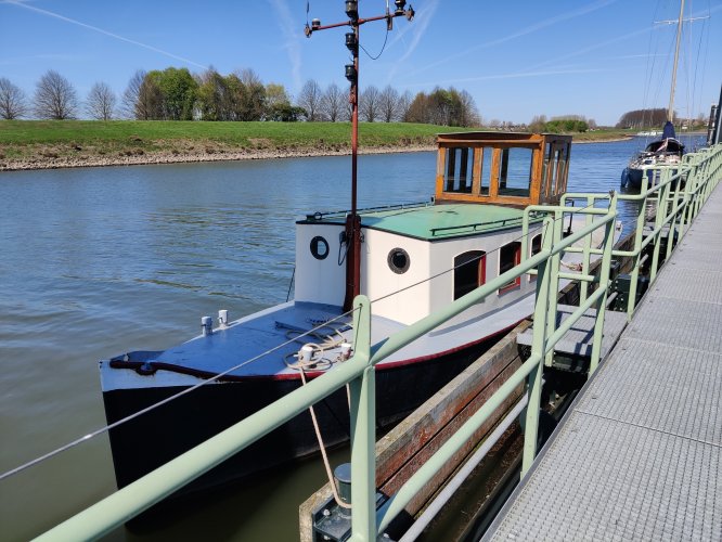 Sleepboot Amsterdammer foto: 14