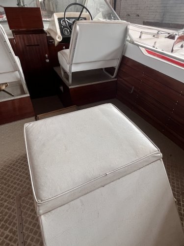 Chris Craft Sea Skiff 23 foto: 11