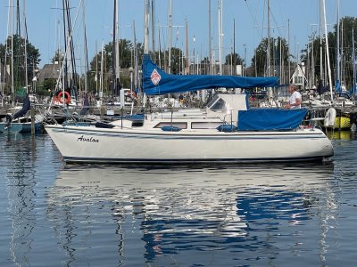 Catalina270