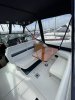 Sea Ray 270DA foto: 3