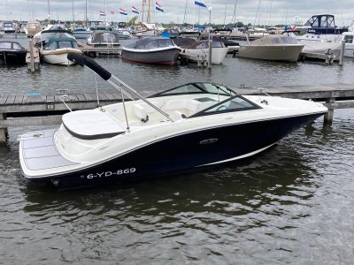 Sea RaySPX 190