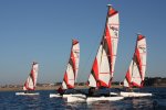 WorldWideSailing  Topper Cat14 foto: 0