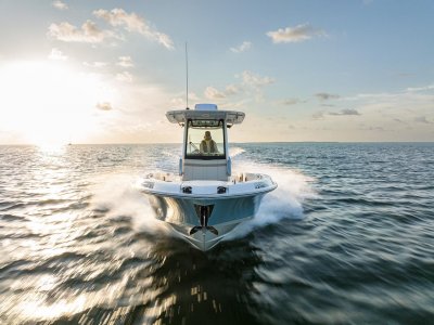 Boston Whaler280 Dauntless