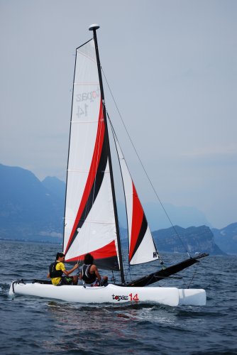 WorldWideSailing  Topper Cat14