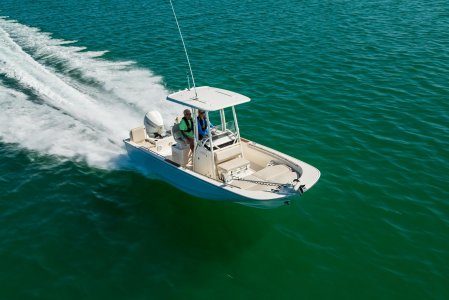 Boston Whaler210 Montauk