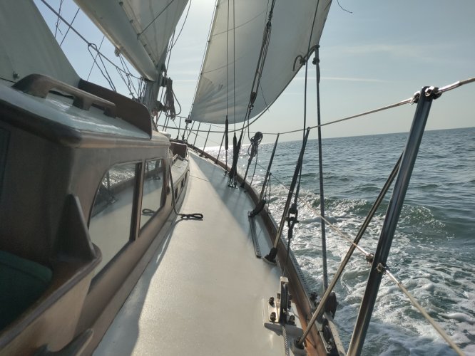 Classic Yacht Arthur Robb 13.72 foto: 31