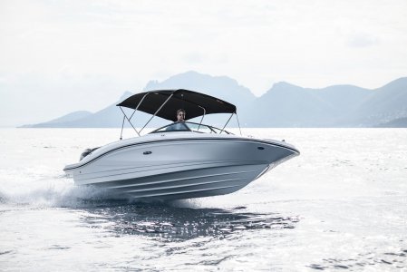 Sea RaySPX 210 Outboard